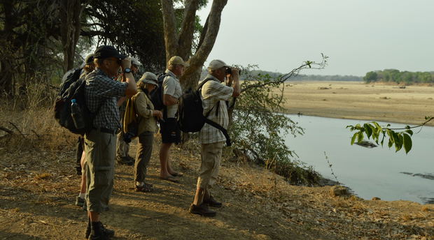 budget walking safari Zambia budget walking safari Zambia