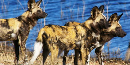 Sambia´s schönste Parks 