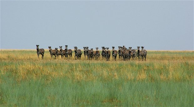 Liuwa National Park Zambia