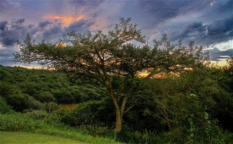 Enjoy a sundowner on the lawn