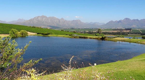 Explore Stellenbosch