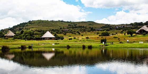 Doornkop Fish & Wildlife Reserve