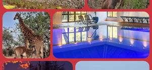 Dikhololo Special - brought to you by Mac-Africa Tourism