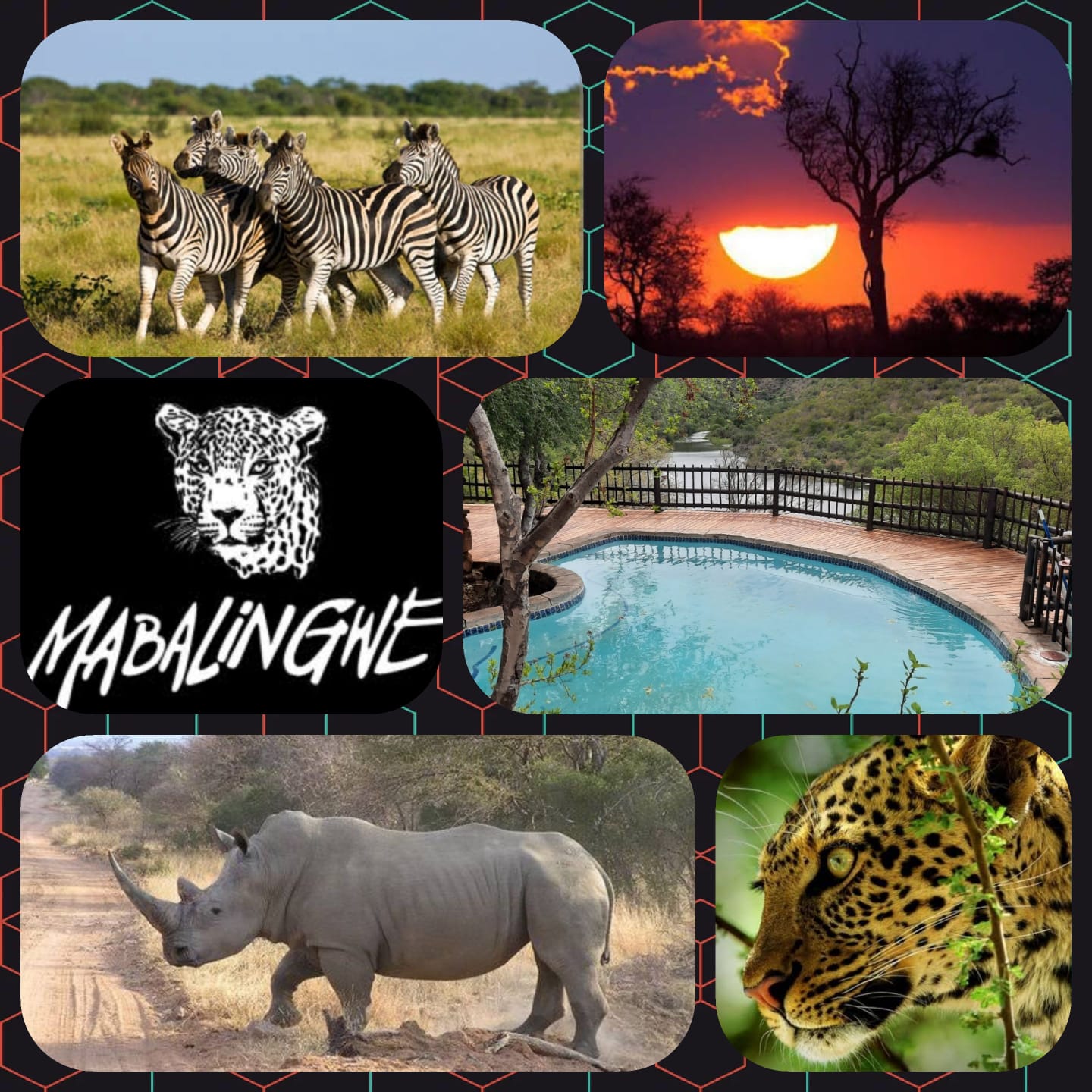 Mabalingwe - www.mac-africatourism.com