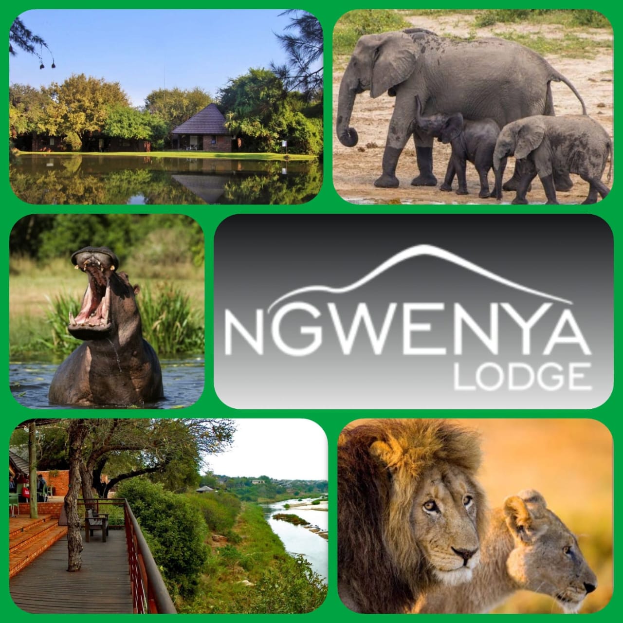 Ngwenya Lodge - www.mac-africatourism.com