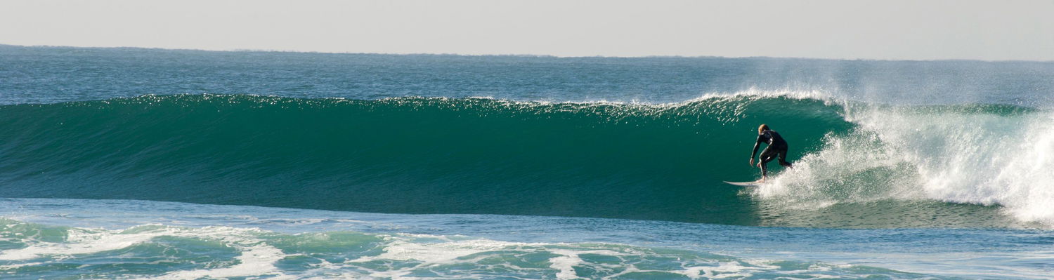 A surfer on a wave near Fairlight beachfront accomodation
