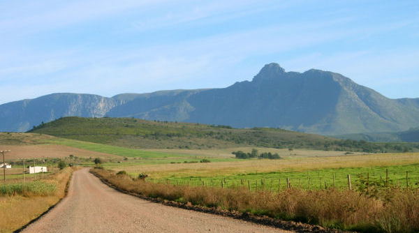 Riversdale's famous Sleeping Beauty