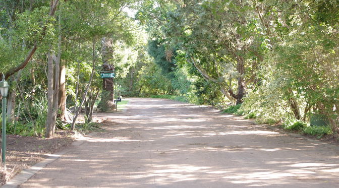 Blog