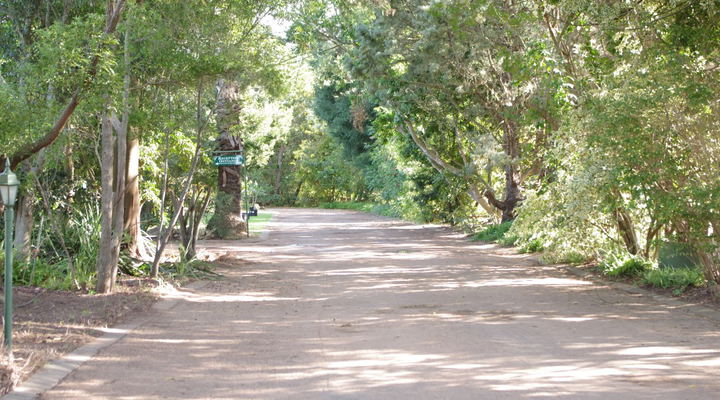 Blog
