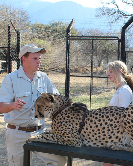 Moholoholo Rehabilitations Center