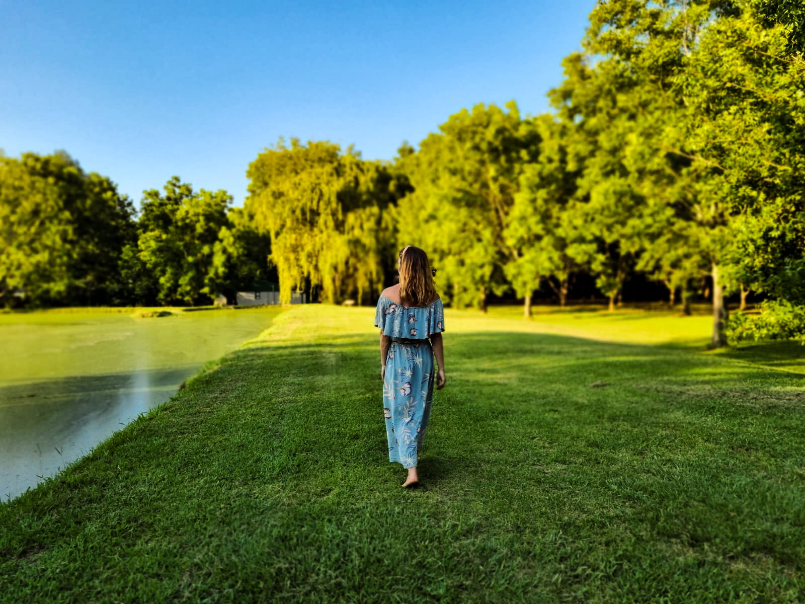 A lady walking on the dam wall next to a pecan orchard in the afternoon sun.