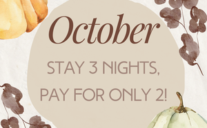 End of October Flash Sale! 