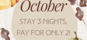 End of October Flash Sale! 