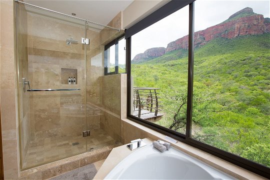 Shower View
