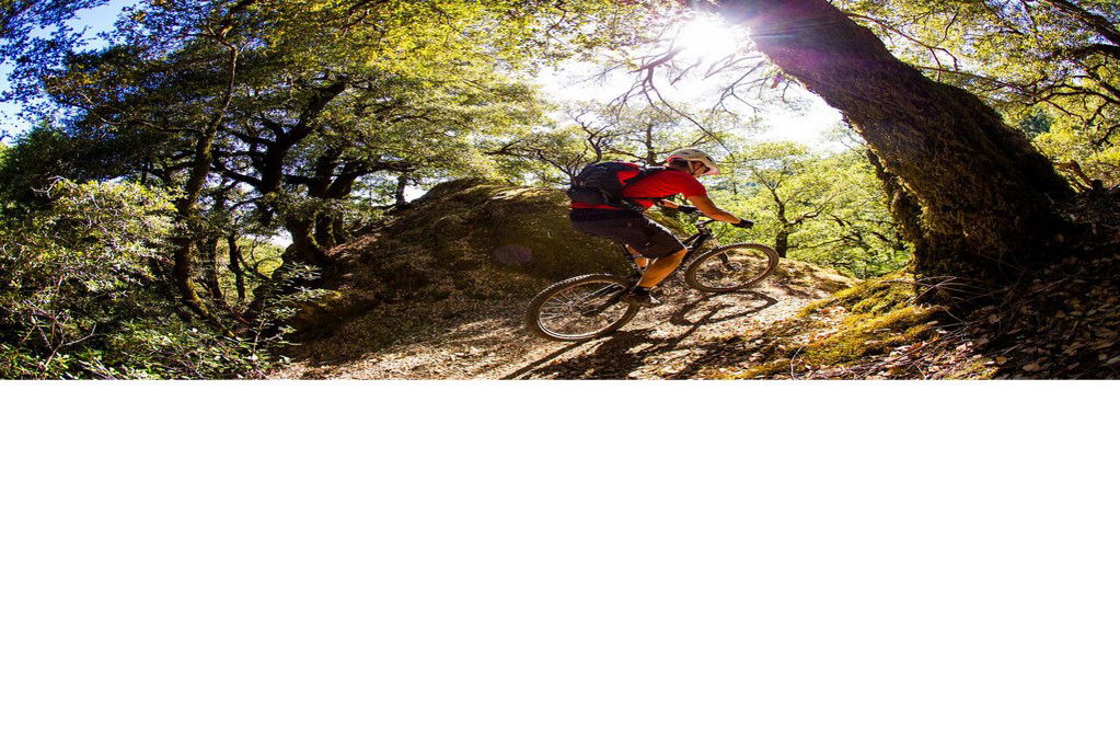 Mountain Bike Hire