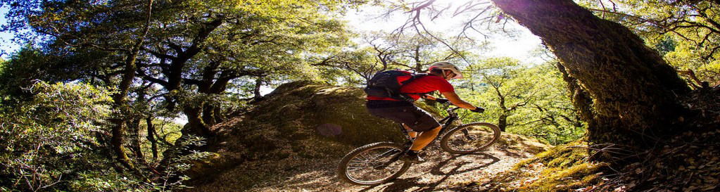 Mountain Bike Hire