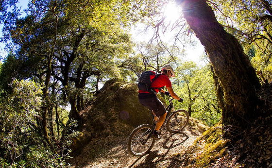 Mountain Bike Hire