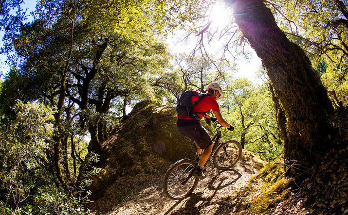Mountain Bike Hire