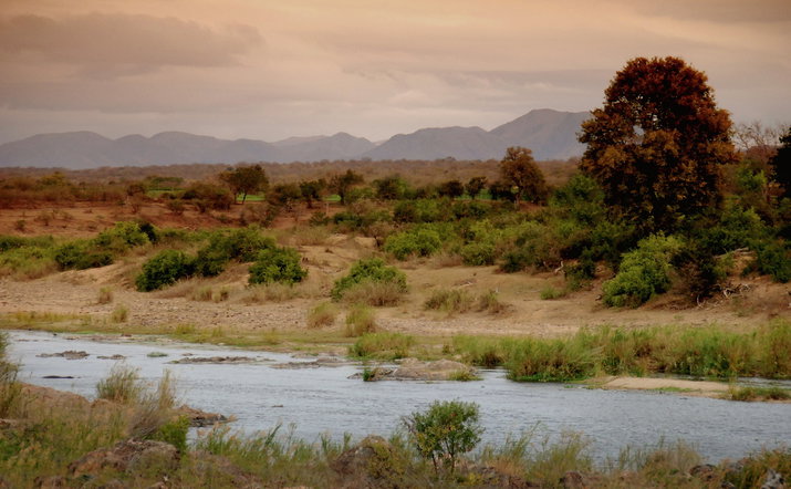 Accommodation & Game Drive Package