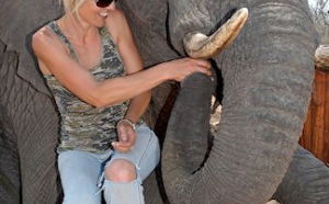 Elephant Interaction
