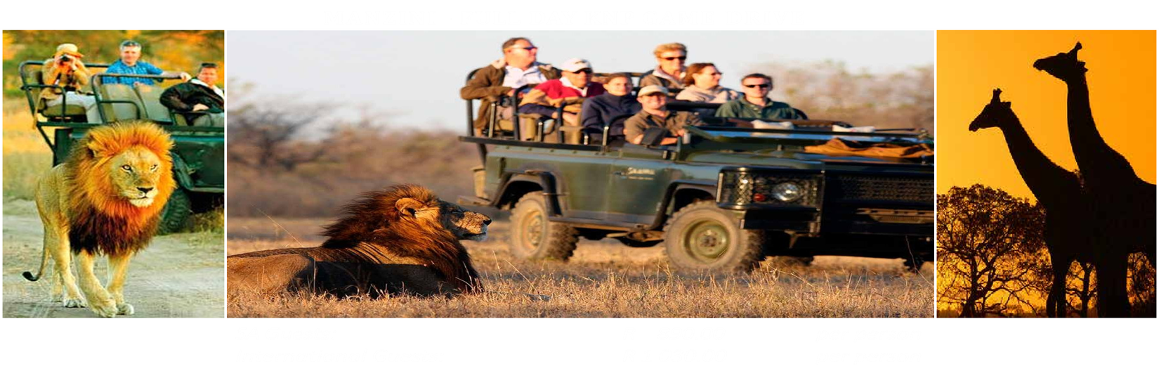 Full Day Kruger Park Safari