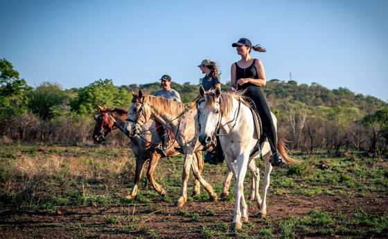 Horse Riding