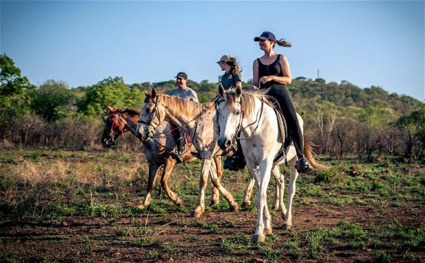 Horse Riding Safari