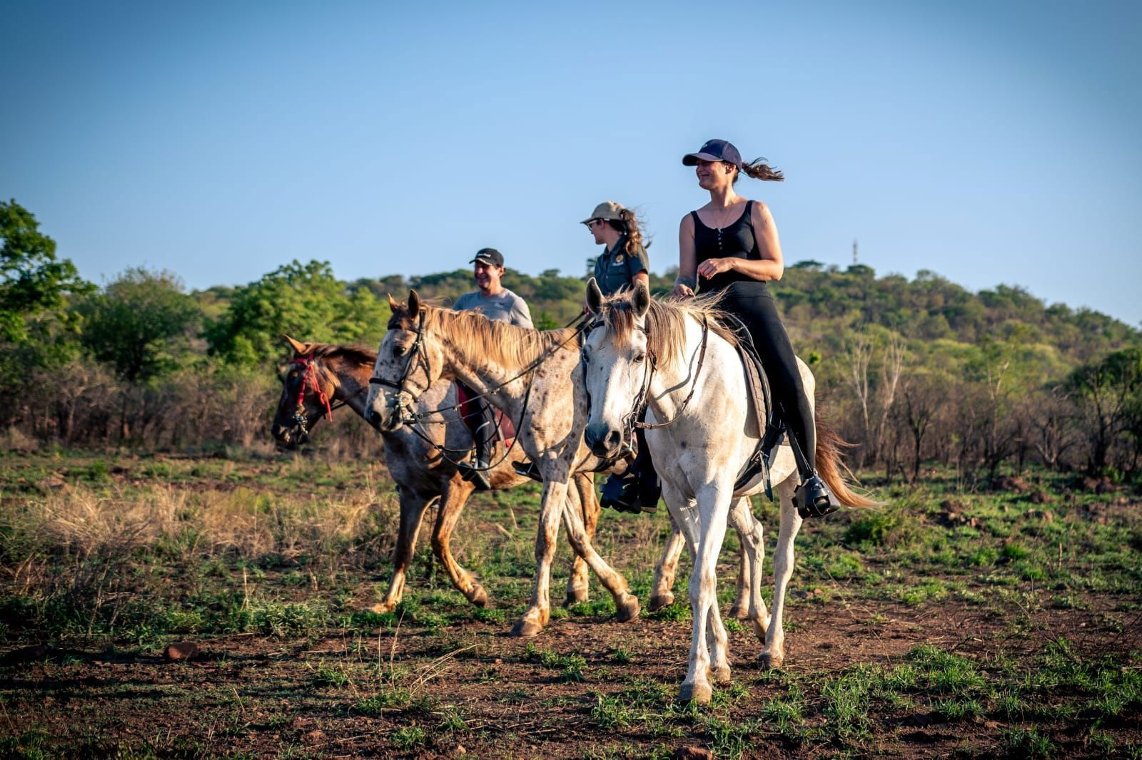 Horseback or Elephant Back Safari