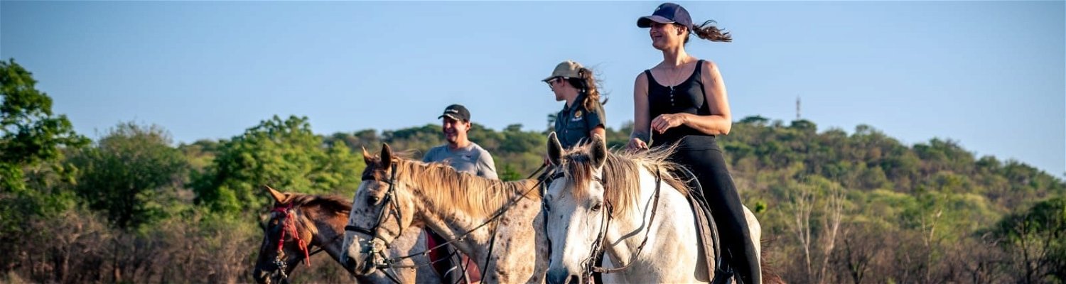 Horseback or Elephant Back Safari