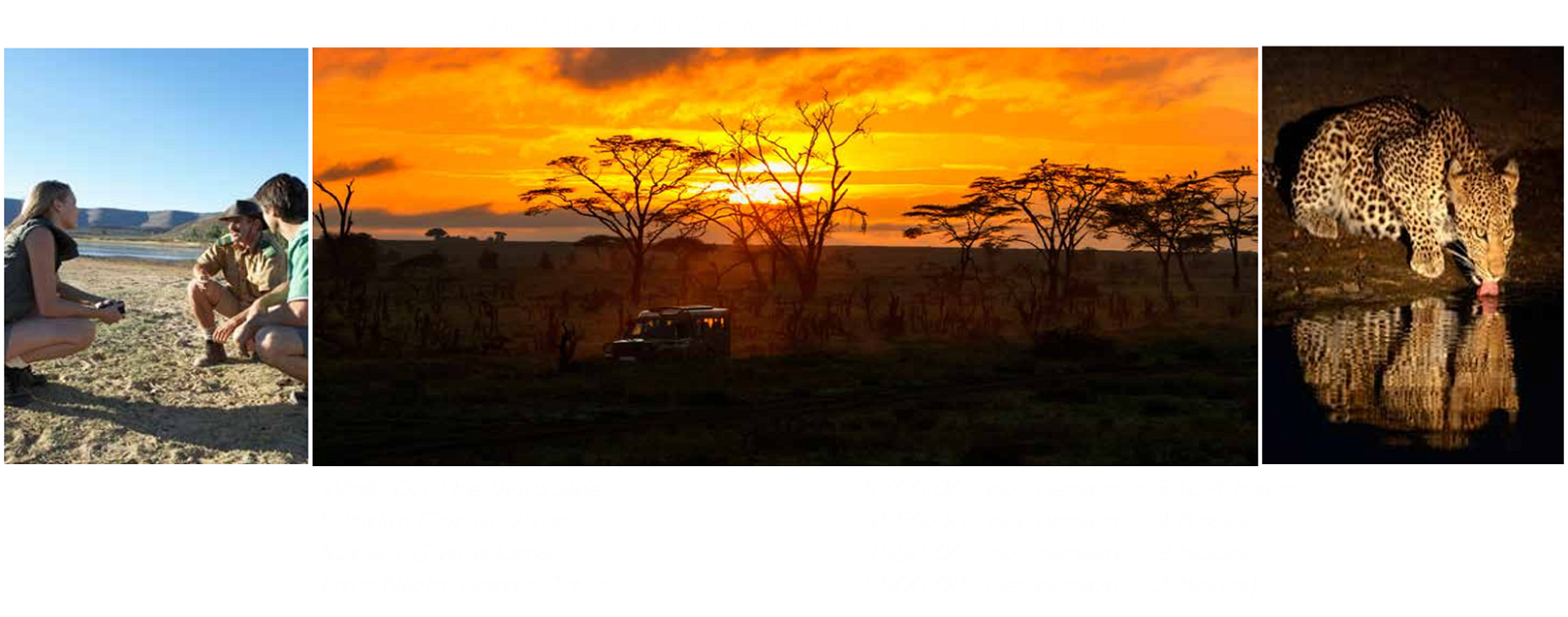 Kruger National Park Night Drives