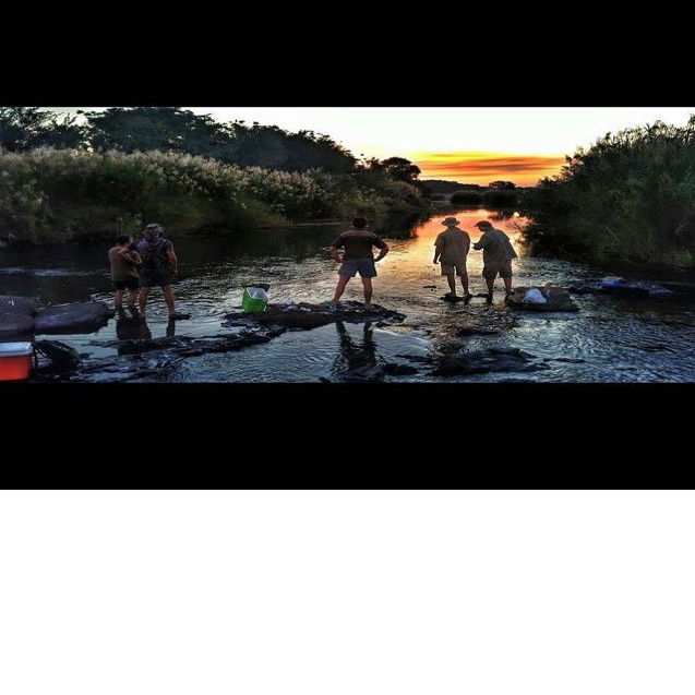 Tiger Fishing Safari Sun-Set 