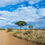 Seasons of Safari: Discover the Magic of the Greater Kruger Year-Round