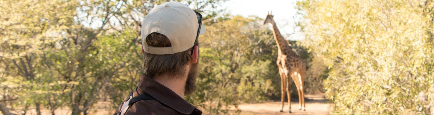 viewing giraffe on a guided bush walk at Ngama Tented Safari Lodge