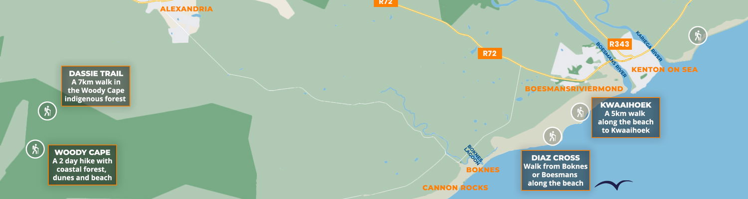 If walking is your thing