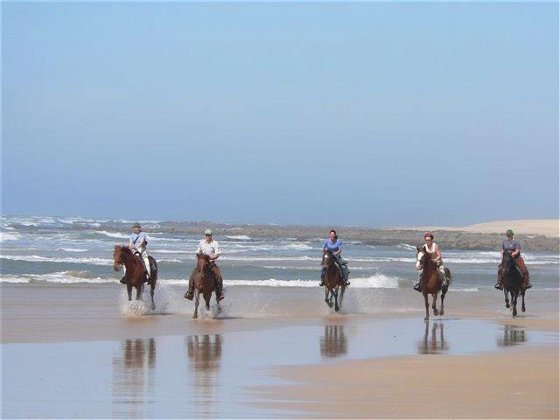 A horseride on the beach 