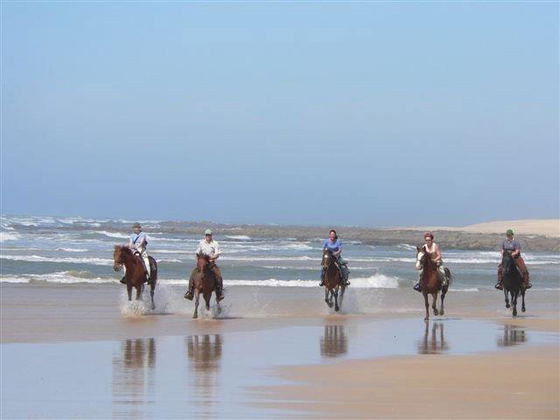 A horseride on the beach A horseride on the beach