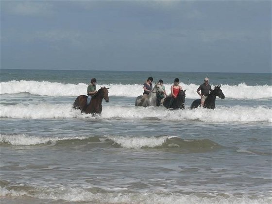 Horse riding on the beach 