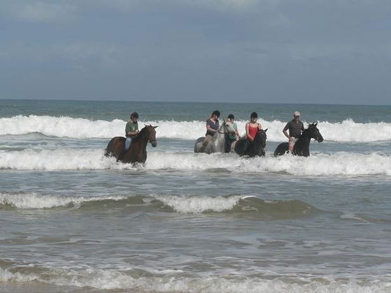 Horse riding on the beach Horse riding on the beach