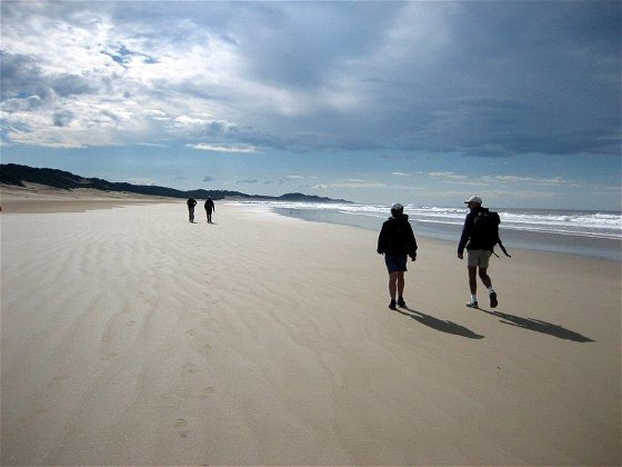 A walk on the beach 