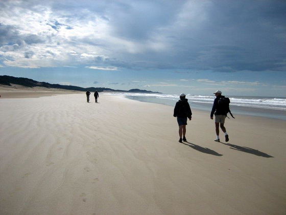 A walk on the beach A walk on the beach