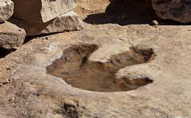 Dinosaur Footprints Lesotho