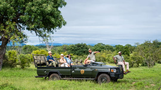 Morning Game Drive