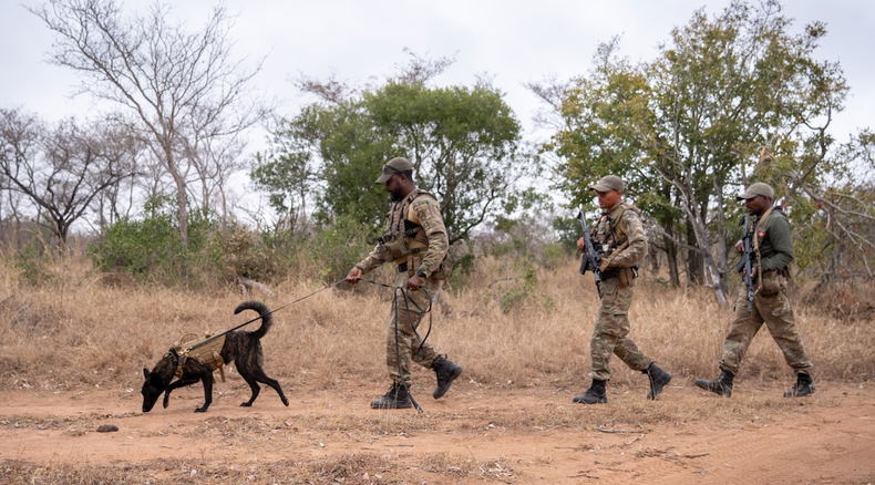 Thornybush Private Nature Reserve K9 Unit