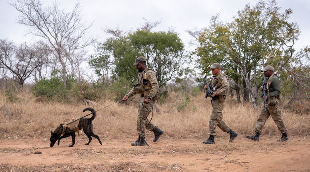 Thornybush Private Nature Reserve K9 Unit Thornybush Private Nature Reserve K9 Unit