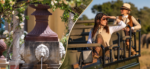 Winelands & Safari Experience