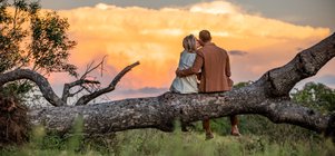 Honeymoon offer