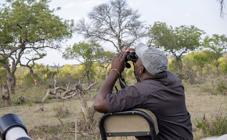 Shumbalala Game Lodge bird watching
