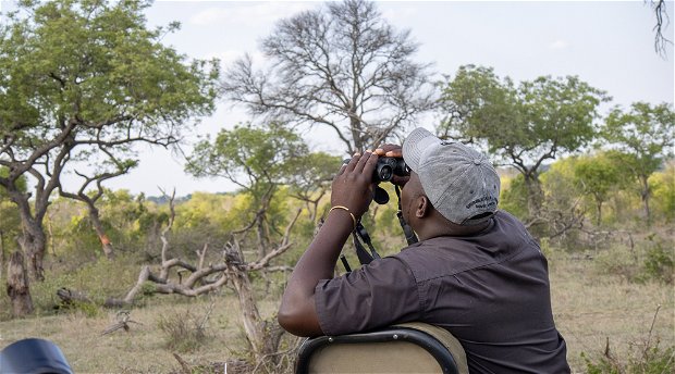 Shumbalala Game Lodge bird watching