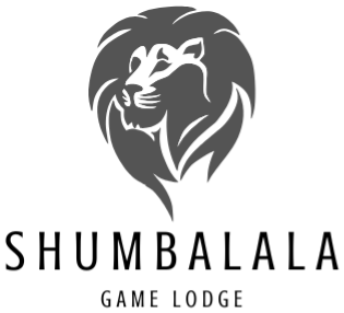 Shumbalala Game Lodge | Safari Accommodation | Thornybush Game Reserve Accommodation | Kruger National Park Accommodation | Limpopo Accommodation 