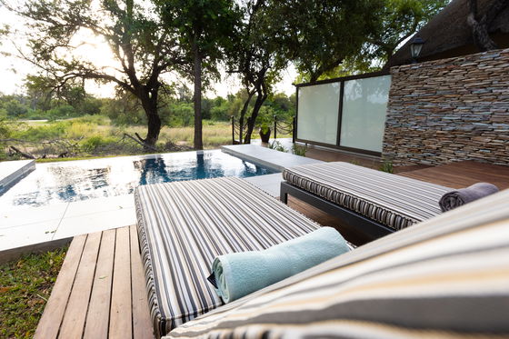Presidential Suite - Room 5 - Plunge pool and divider wall